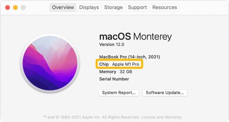 Screenshot of macOS dialog highlighting Apple M1 Pro chip