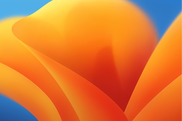 Stylized mage of a California poppy representing the Ventura release of macOS operating system